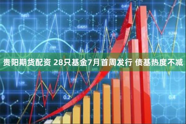 贵阳期货配资 28只基金7月首周发行 债基热度不减