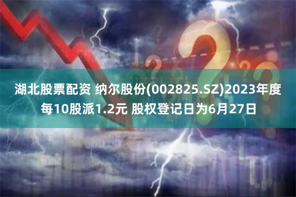 湖北股票配资 纳尔股份(002825.SZ)2023年度每10股派1.2元 股权登记日为6月27日