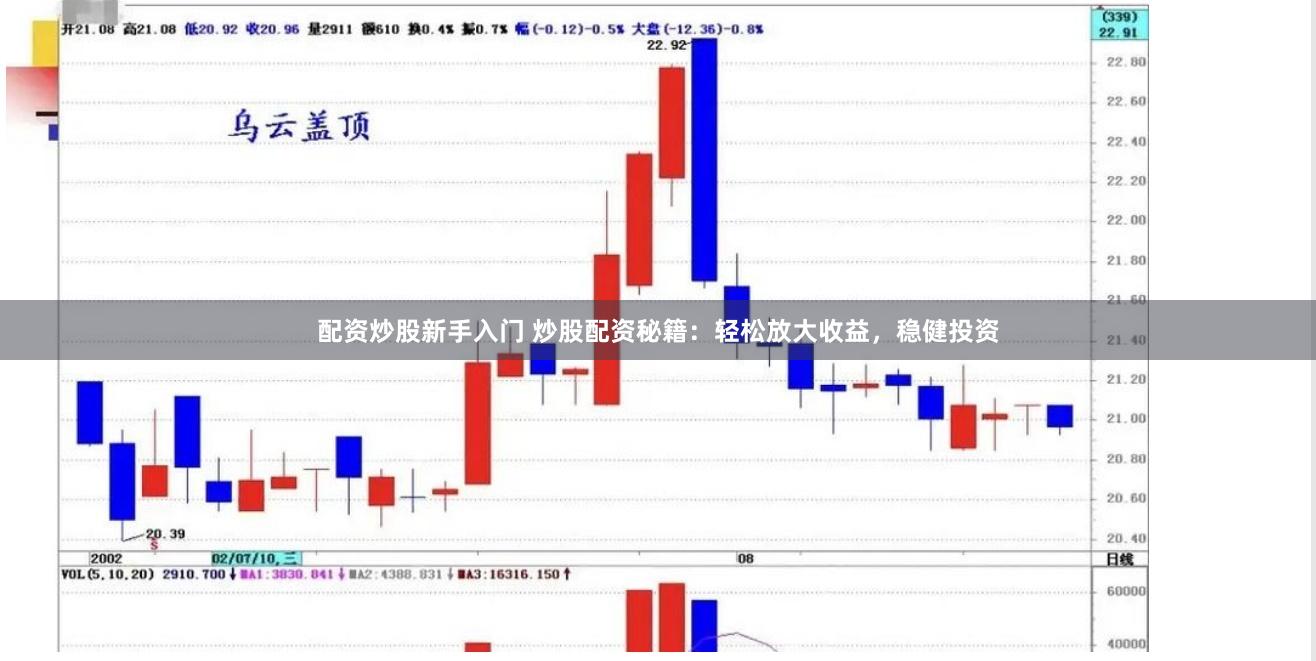 配资炒股新手入门 炒股配资秘籍：轻松放大收益，稳健投资