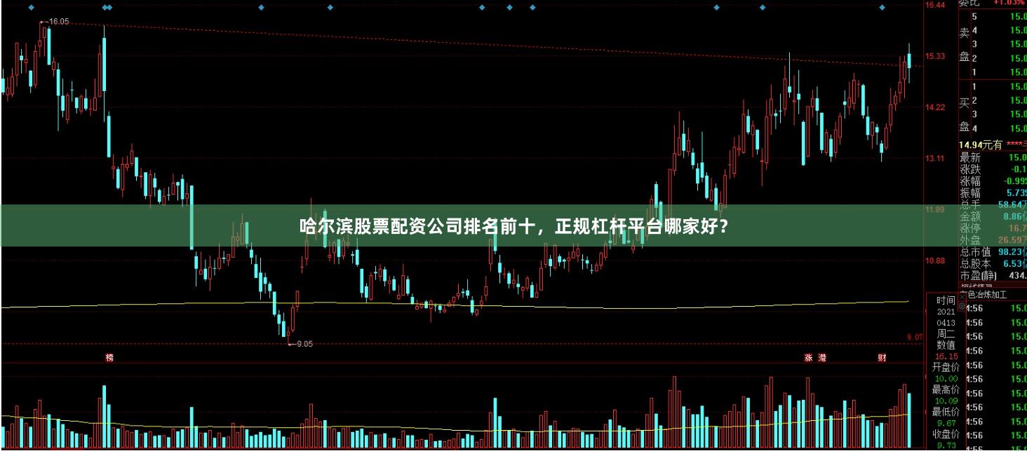 哈尔滨股票配资公司排名前十，正规杠杆平台哪家好？